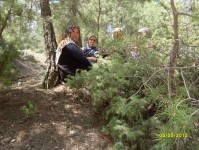 rahmet2012_15