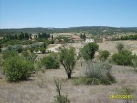 manzara2_03