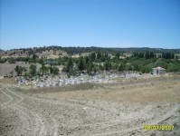 manzara2_17