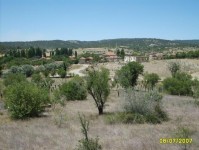manzara2_19