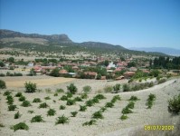 manzara2_20