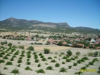 manzara2_21