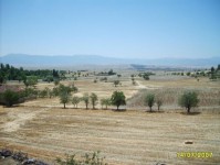 manzara2_31