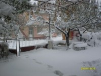 kar_2010_1