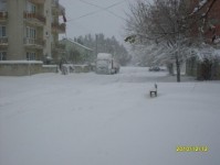 kar_2010_10