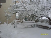 kar_2010_3