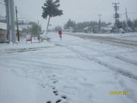 kar_2010_5
