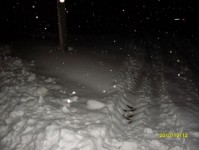 kar_2010_7