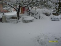 kar_2010_8