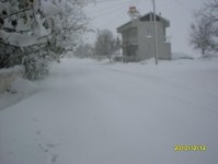 kar_2010_9