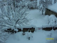 kar_2012_02