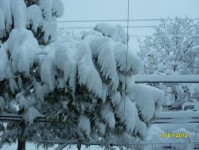kar_2012_03