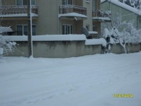 kar_2012_11