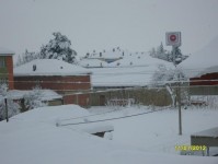 kar_2012_17