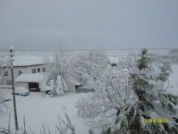 kar_2012_19