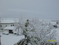 kar_2012_21