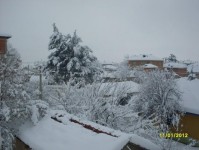 kar_2012_22