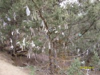 rahmet2011_18